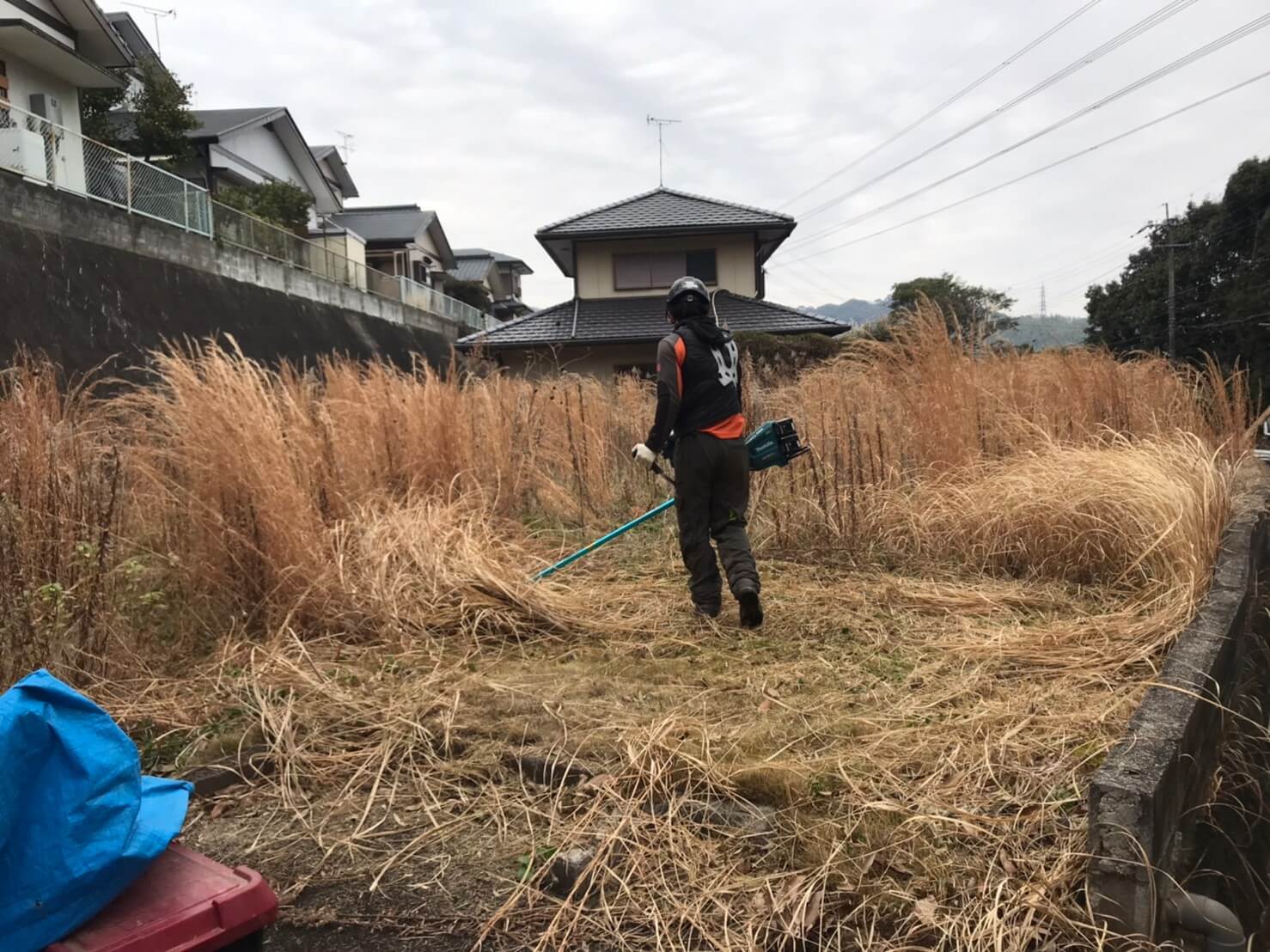 刃を使った草刈り時、聞こえるのは倒れる草の音程度。静かに手早く草を刈り取っていきます